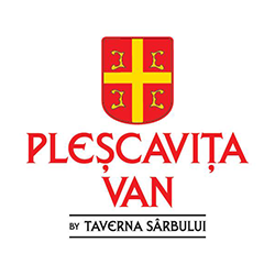 PlescavitaVan Militari logo