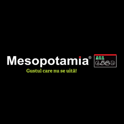 Mesopotamia Shopping City logo