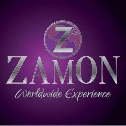 Zamon logo