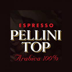 Pellini Evolution logo