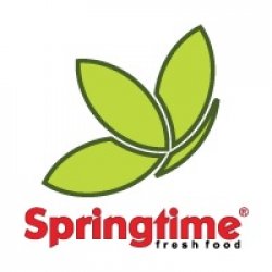 Springtime Floreasca logo