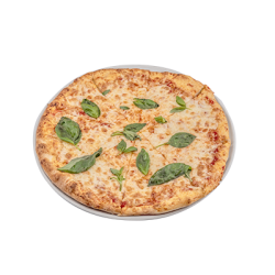 Pizza Margherita image