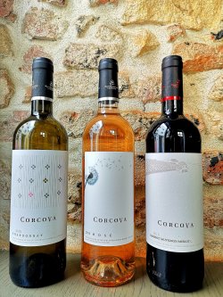 Corcova Alb – Chardonnay image