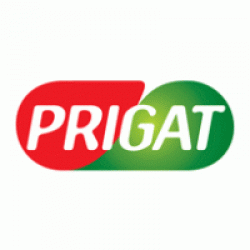 Prigat limonada cu menta 0.5l image