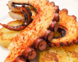 Pulpo a la placha  image