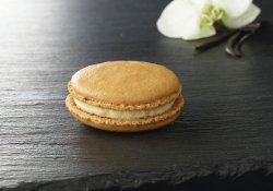 Macaron Vanille image