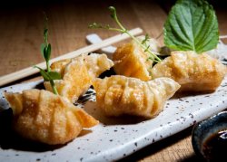 Gyoza shrimp image