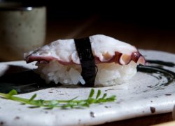 Octopus nigiri image