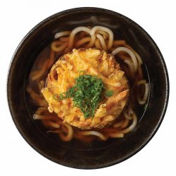 Tempura udon image