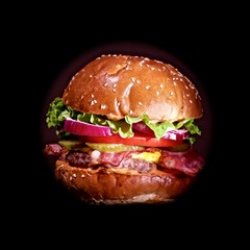 American burger  image