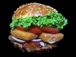 Chicken burger image