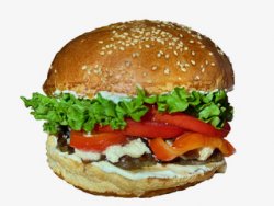 Farm burger image