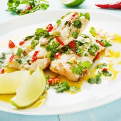 Pesce persico in padella con zucchini alla griglia image