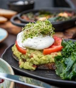 Avocado Poached Egg image