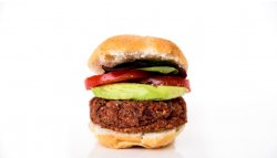 Burger Vegan image