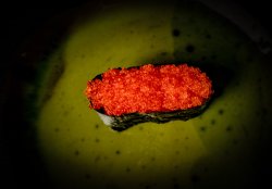 Tobiko Guncan image