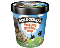 Ben&Jerry`s Peanut Butter Cup 500 ml image