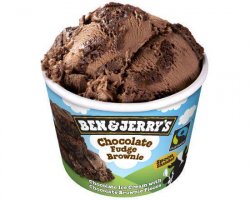 Ben&Jerry`s Chocolate Fudge Brownie 100 ml image
