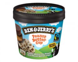 Ben&Jerry`s Peanut Butter Cup 100 ml image