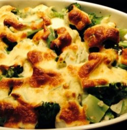 Brocoli gratinat image