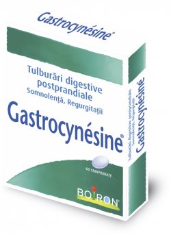 BOIRON GASTROCYNESINE 60CPR image