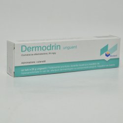 DERMODRIN UNGUENT 20G image