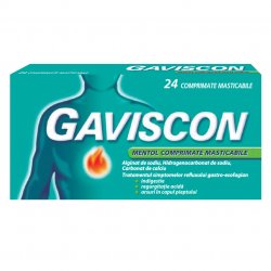 GAVISCON MENTOL 24CPR MASTICABILE image