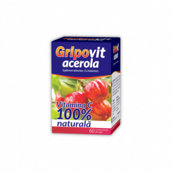 ZDROVIT GRIPOVIT ACEROLA 60CPR DE SUPT image