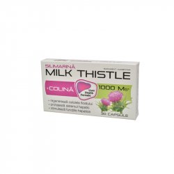 ZDROVIT SILIMARINA MILK THISTLE + COLINA 30CPS image