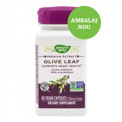 SECOM OLIVE LEAF 20%SE 60CPS image