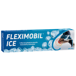 FLEXIMOBIL ICE GEL 45G image
