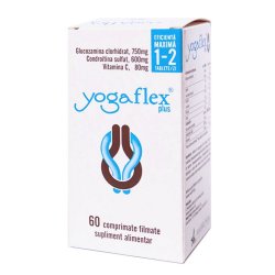 YOGAFLEX PLUS 60CPR FILMATE image