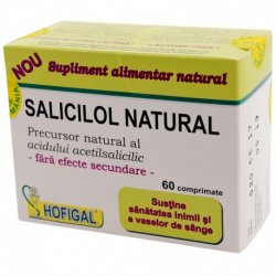 HOFIGAL SALICILOL NATURAL 60CPR image