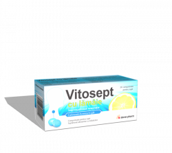 VITOSEPT LAMAIE 20CPR DE SUPT image