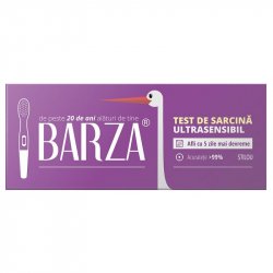 BARZA TEST SARCINA ULTRASENSIBIL STILOU image