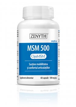 ZENYTH MSM 500 60CPS image