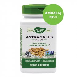 SECOM ASTRAGALUS 100CPS image