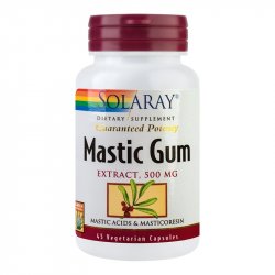 SECOM MASTIC GUM 45CPS image