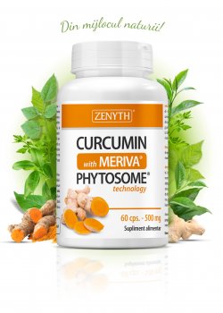 ZENYTH CURCUMIN MERIVA 500MG X 60CPS  image