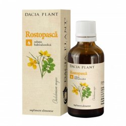 DACIA PLANT ROSTOPASCA TINCTURA 50ML image