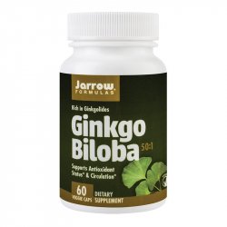 SECOM GINKGO BILOBA 60MG X 60CPS image