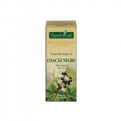 EXTRACT DIN MUGURI DE COACAZ NEGRU 50ML image