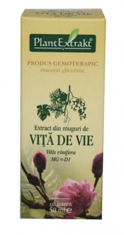 EXTRACT DIN MUGURI DE VITA DE VIE 50 ML image