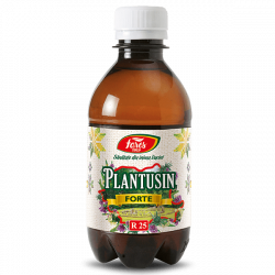 FARES R25 PLANTUSIN FORTE SIROP 250ML image