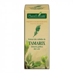 EXTRACT DIN MLADITE DE TAMARIX 50ML image