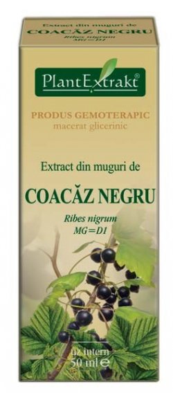 EXTRACT DIN MUGURI DE COACAZ NEGRU 50ML image